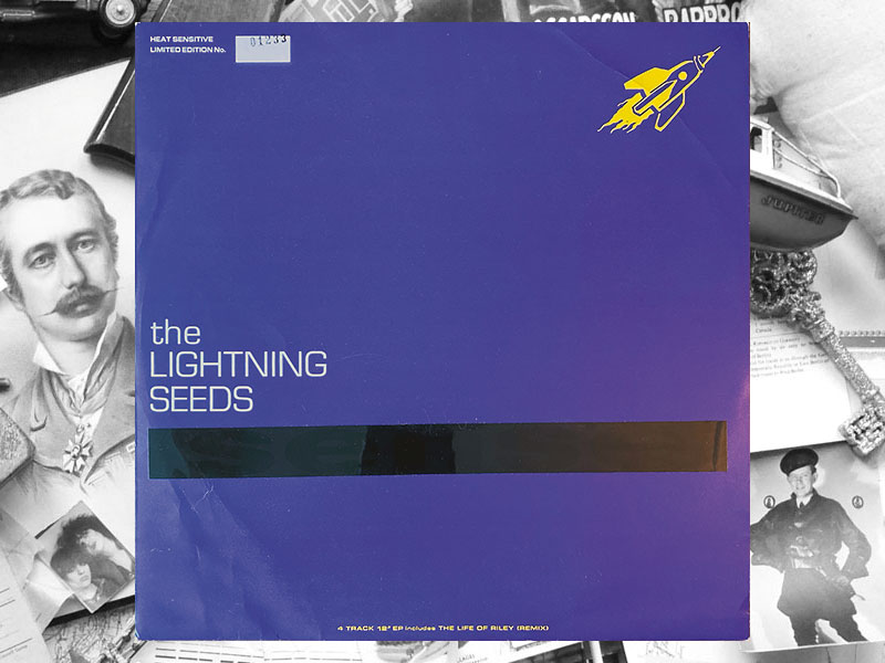 Lightning Seed Sense